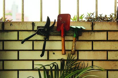 article image - essentials